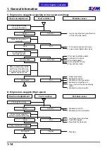 Preview for 19 page of Sym GTS 250 Service Manual