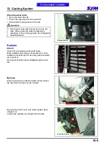 Предварительный просмотр 141 страницы Sym GTS 250 Service Manual