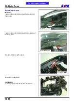 Preview for 161 page of Sym GTS 250 Service Manual