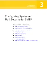 Preview for 45 page of Symantec 11105111 - SYM MAIL SEC SMTP 5.0 SMS PORT MEDIA CD EN User Manual