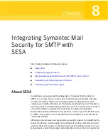 Preview for 155 page of Symantec 11105111 - SYM MAIL SEC SMTP 5.0 SMS PORT MEDIA CD EN User Manual