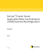 Preview for 1 page of Symantec Veritas Solaris Instructions Manual