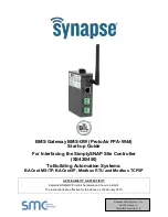 Synapse BMS-GW Series Startup Manual preview