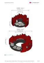 Preview for 302 page of SYNAPTICON SOMANET Circulo 7 Documentation