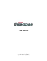 Synesthesia Mandala Synapse User Manual preview