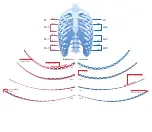 Preview for 2 page of Synthes MatrixRIB Quick Reference