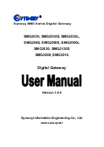 Synway SMG2030 User Manual preview