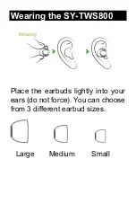 Предварительный просмотр 14 страницы Sytech QBlast SY-TWS800 User Manual