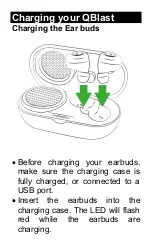 Предварительный просмотр 16 страницы Sytech QBlast SY-TWS800 User Manual