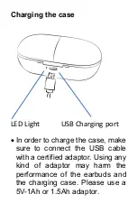 Предварительный просмотр 18 страницы Sytech QBlast SY-TWS800 User Manual