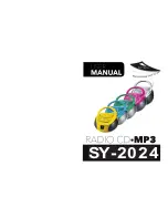 Sytech SY-2024 User Manual preview