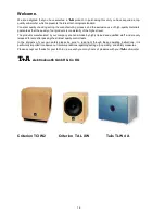 Preview for 14 page of T+A Criterion TAL XW User Manual