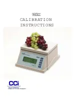 T.E. Bouton CCi 9903II Calibration Instructions preview