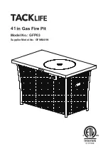 Preview for 1 page of TACKLIFE GFP03 Manual