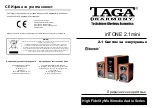 Taga Harmony inTONE 2.1mini Quick Start Manual preview