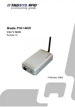 Preview for 1 page of TAGSYS RFID L-P101 User Manual