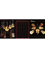 Предварительный просмотр 1 страницы Takamine EG340C Brochure