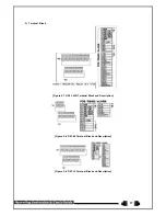 Preview for 18 page of Talos Security Blue DX1-08 Operating Instructions And User Manual