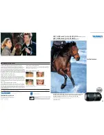 Tamron SP 70-300mm F/4-56 Di VC USD Brochure & Specs preview