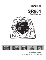 Preview for 1 page of Tannoy SR601 Owner'S Manual