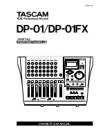 Tascam DP-01 Owner'S Manual предпросмотр