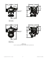 Предварительный просмотр 9 страницы Task Force Tips Ball Intake Valve AXD1ST-NX-F Instructions For Installation, Safe Operation And Maintenance