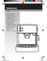 Taurus Ancona Manual preview