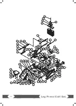 Preview for 36 page of Taurus Dual Pro Leg Press/ Calf Ext Assembly And Operating Instructions Manual