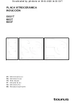 Preview for 1 page of Taurus I3021T Instructions For Use Manual