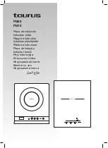 Taurus PI400 Manual preview