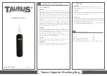 Preview for 1 page of Taurus TB-P150GIG Operating Instructions