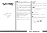 Taurus TF-ASA586 Operating Instructions preview