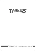 Preview for 36 page of Taurus TF-PTT0212 Assembly Instructions Manual