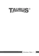 Preview for 28 page of Taurus VT3 Assembly And Operating Instructions Manual