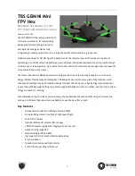 TBS GEMINI Mini FPV Hex User Manual preview