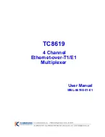 TC Communications TC8619 User Manual preview