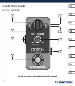 Предварительный просмотр 1 страницы TC Electronic DITTO+ Quick Start Manual