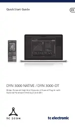 TC Electronic DYN 3000 NATIVE Quick Start Manual предпросмотр