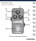 TC Electronic FLASHBACK 2 MINI DELAY Quick Start Manual preview