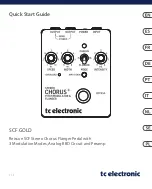 Preview for 1 page of TC Electronic SCF GOLD Quick Start Manual