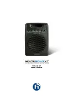 TC-Helicon VoiceSolo VSM-300 XT User Manual предпросмотр