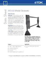 TDK EFG-02 Datasheet предпросмотр