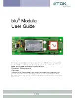 TDK Module blu2i User Manual preview