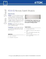 TDK RSM-02 Datasheet preview