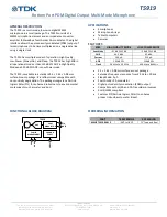 TDK T5919 Manual preview