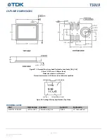 Preview for 20 page of TDK T5919 Manual