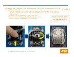 Preview for 43 page of TE Connectivity LGA4189 Instruction Sheet