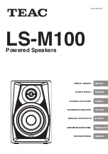 Teac LS-M100 Owner'S Manual предпросмотр