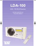 Team Electronic LDA-100 Instruction Manual preview