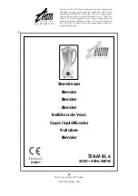 Team International TEAM BL 6 Operating Instructions Manual предпросмотр